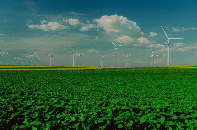 How to choose the right renewable energy software to scale your green business investments