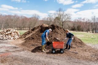 The Benefits of Buying Bulk Mulch for Homes, Businesses, and Large Landscapes