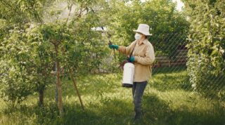 Why Outdoor Home Habits Matter for Local Pest Control