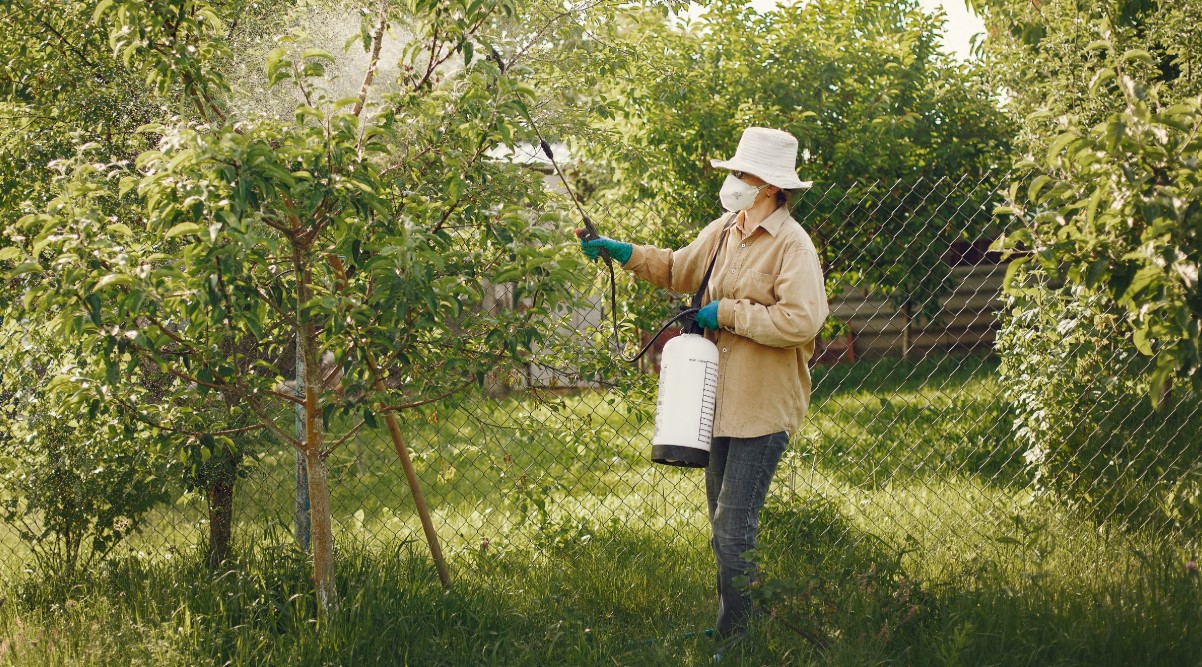 Why Outdoor Home Habits Matter for Local Pest Control