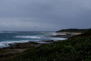 Wildlife Havens of the Southern Ocean: Threats and Protections in Remote Ecosystems